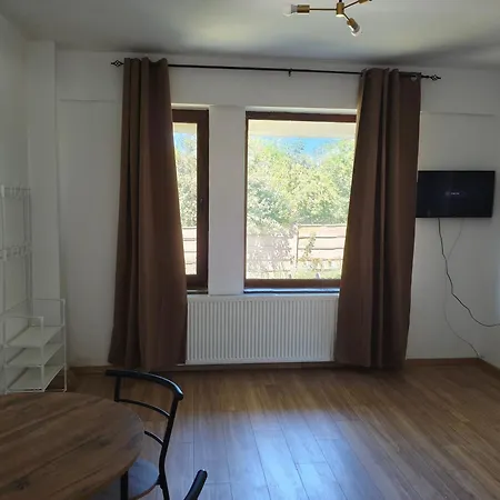 Voievozilor Garden View Appartement Constanţa
